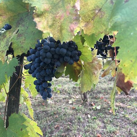 Agriturismo Beata Vanna ファブロ エクステリア 写真