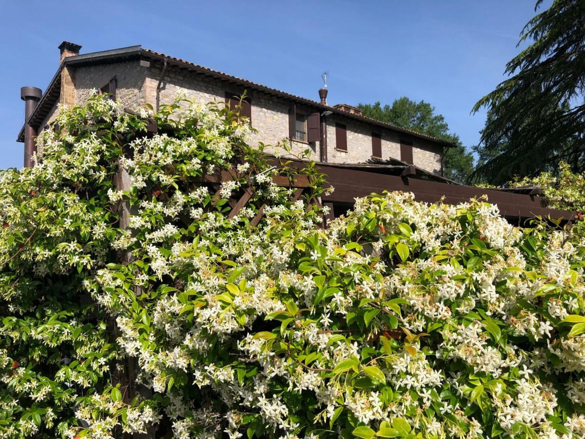Agriturismo Beata Vanna ファブロ エクステリア 写真