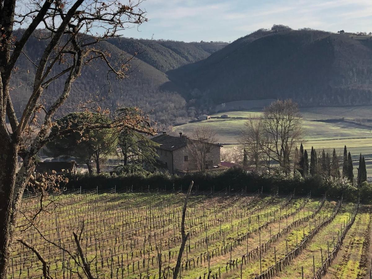 Agriturismo Beata Vanna ファブロ エクステリア 写真